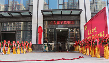 霸王花集團(tuán)迎來大好日子，八姑、369、列有銀明星助陣