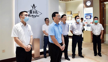 河源市副市長劉東豪到廣東霸王花集團調研