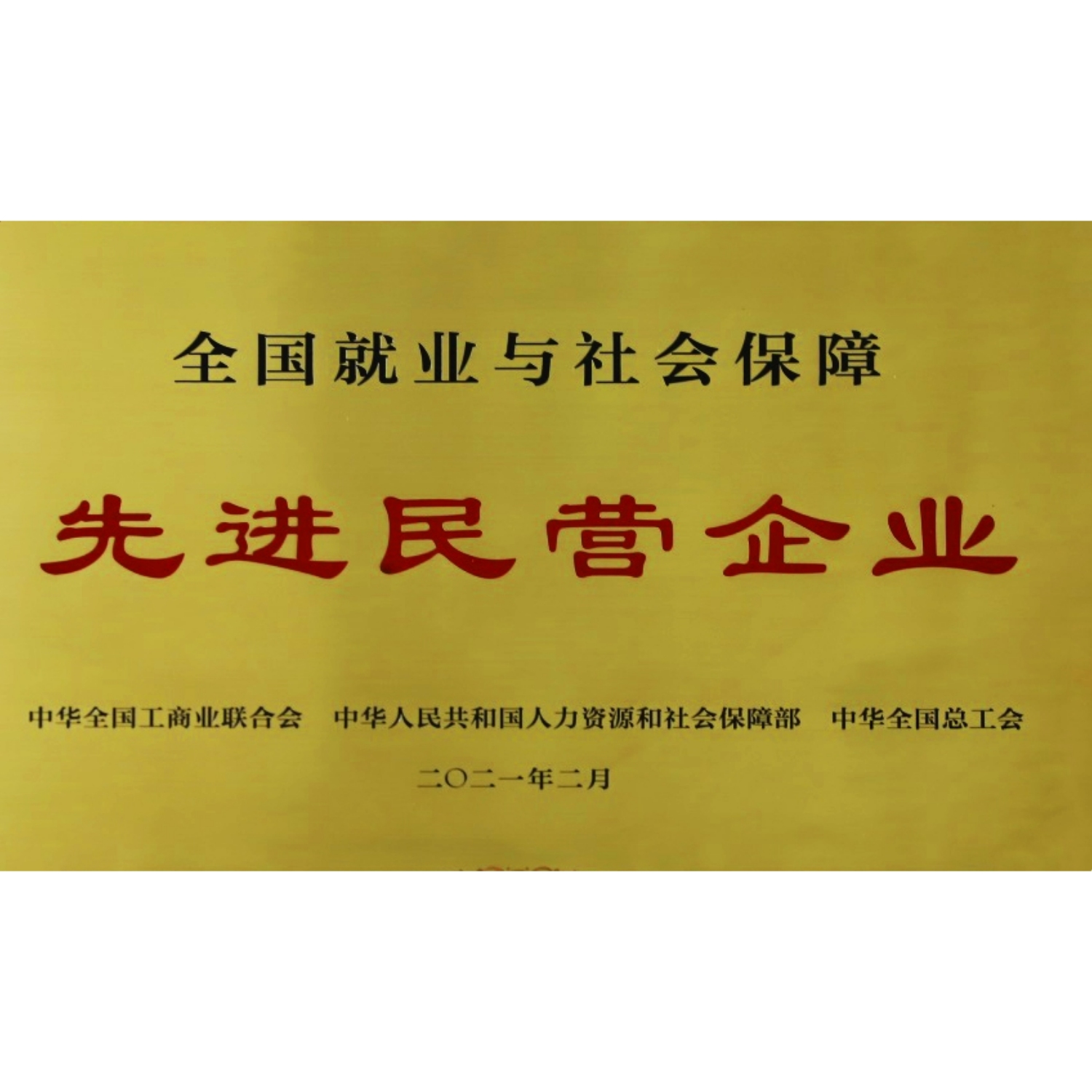 全國就業(yè)與社會保障先進民營企業(yè)